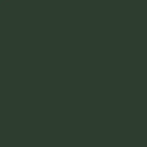 Mountain Green Classic Thong